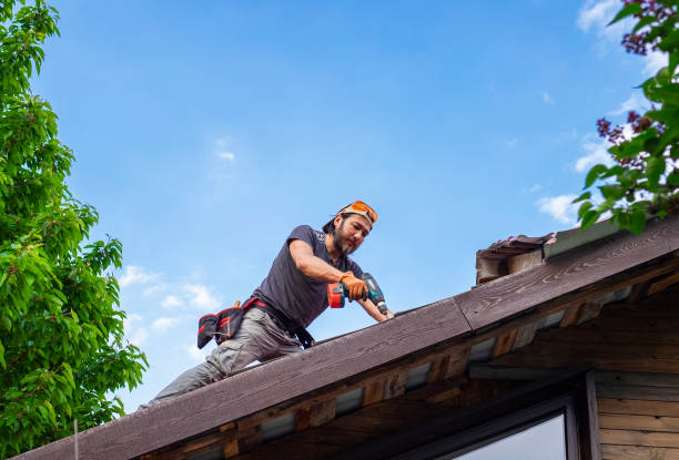 Best Chimney Flashing Repair  in Friars Point, MS