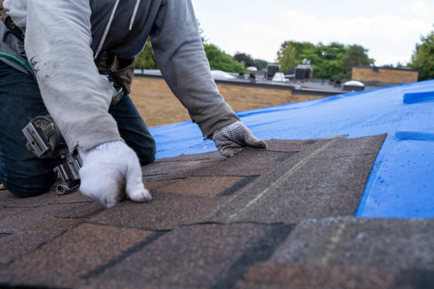 Best Rubber Roofing (EPDM, TPO)  in Friars Point, MS