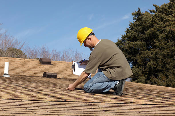Best Roof Moss and Algae Removal  in Friars Point, MS